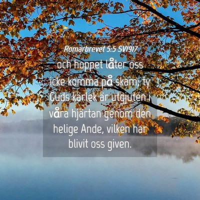 Picture 04 - Romarbrevet 5:5 SV1917 - och hoppet låter oss icke komma på skam; ty - Bible Verse Picture