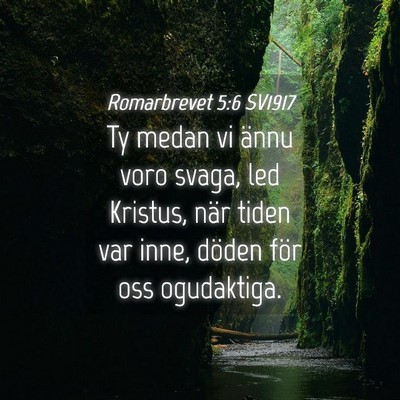 Picture 04 - Romarbrevet 5:6 SV1917 - Ty medan vi ännu voro svaga, led Kristus, när - Bible Verse Picture