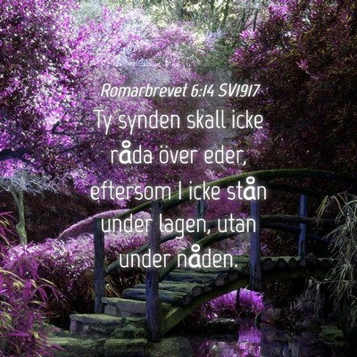 Picture 04 - Romarbrevet 6:14 SV1917 - Ty synden skall icke råda över eder, eftersom I - Bible Verse Picture