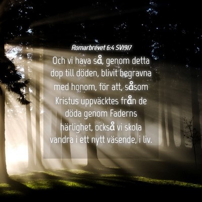Picture 04 - Romarbrevet 6:4 SV1917 - Och vi hava så, genom detta dop till döden, - Bible Verse Picture