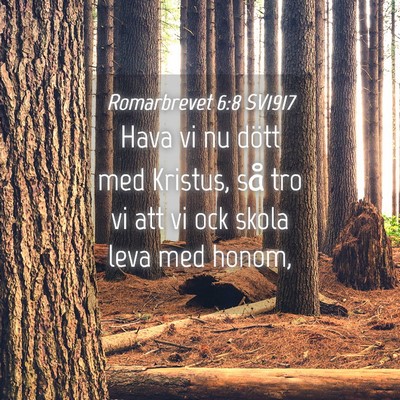 Picture 04 - Romarbrevet 6:8 SV1917 - Hava vi nu dött med Kristus, så tro vi att vi - Bible Verse Picture