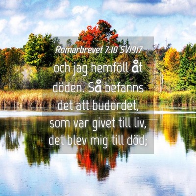Picture 04 - Romarbrevet 7:10 SV1917 - och jag hemföll åt döden. Så befanns det att - Bible Verse Picture