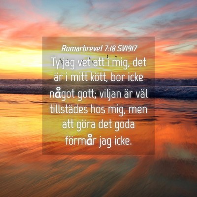 Picture 04 - Romarbrevet 7:18 SV1917 - Ty jag vet att i mig, det är i mitt kött, bor - Bible Verse Picture
