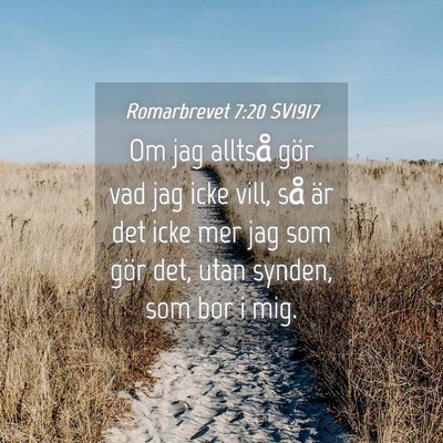 Picture 04 - Romarbrevet 7:20 SV1917 - Om jag alltså gör vad jag icke vill, så är - Bible Verse Picture
