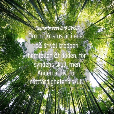Picture 04 - Romarbrevet 8:10 SV1917 - Om nu Kristus är i eder, så är väl kroppen - Bible Verse Picture