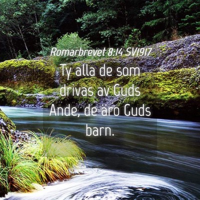 Picture 04 - Romarbrevet 8:14 SV1917 - Ty alla de som drivas av Guds Ande, de äro Guds - Bible Verse Picture