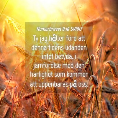 Picture 04 - Romarbrevet 8:18 SV1917 - Ty jag håller före att denna tidens lidanden - Bible Verse Picture