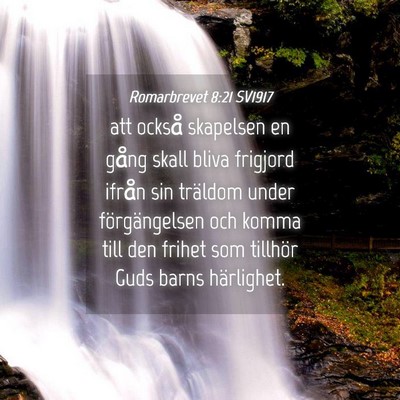 Picture 04 - Romarbrevet 8:21 SV1917 - att också skapelsen en gång skall bliva - Bible Verse Picture