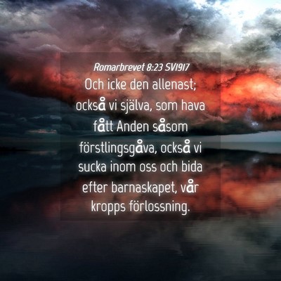 Picture 04 - Romarbrevet 8:23 SV1917 - Och icke den allenast; också vi själva, som - Bible Verse Picture
