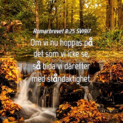 Picture 04 - Romarbrevet 8:25 SV1917 - Om vi nu hoppas på det som vi icke se, så bida - Bible Verse Picture