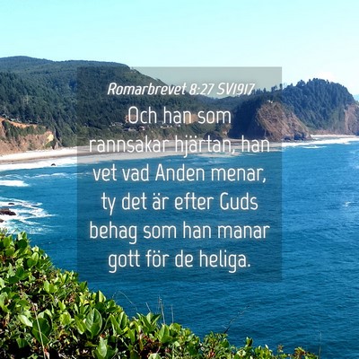 Picture 04 - Romarbrevet 8:27 SV1917 - Och han som rannsakar hjärtan, han vet vad Anden - Bible Verse Picture