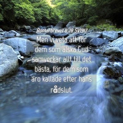 Picture 04 - Romarbrevet 8:28 SV1917 - Men vi veta att för dem som älska Gud samverkar - Bible Verse Picture