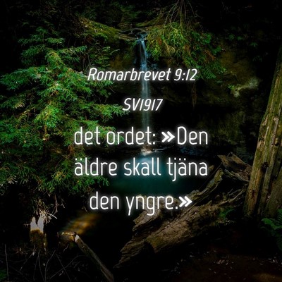 Picture 04 - Romarbrevet 9:12 SV1917 - det ordet: »Den äldre skall tjäna den - Bible Verse Picture