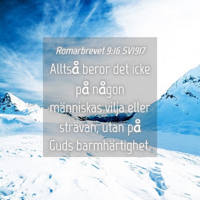 Picture 04 - Romarbrevet 9:16 SV1917 - Alltså beror det icke på någon människas - Bible Verse Picture