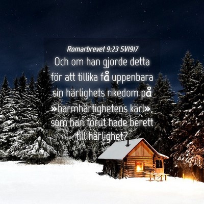 Picture 04 - Romarbrevet 9:23 SV1917 - Och om han gjorde detta för att tillika få - Bible Verse Picture