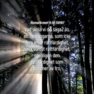 Picture 04 - Romarbrevet 9:30 SV1917 - Vad skola vi då säga? Jo, att hedningarna, som - Bible Verse Picture