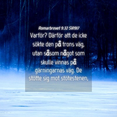 Picture 04 - Romarbrevet 9:32 SV1917 - Varför? Därför att de icke sökte den på - Bible Verse Picture
