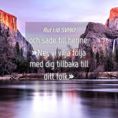 Picture 04 - Rut 1:10 SV1917 - och sade till henne: »Nej, vi vilja följa med - Bible Verse Picture