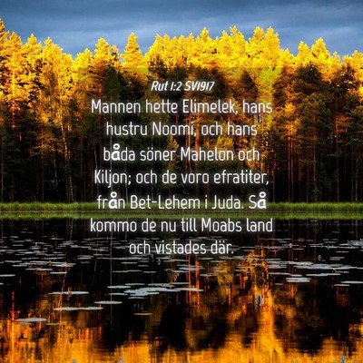 Picture 04 - Rut 1:2 SV1917 - Mannen hette Elimelek, hans hustru Noomi, och - Bible Verse Picture