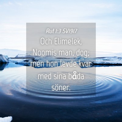 Picture 04 - Rut 1:3 SV1917 - Och Elimelek, Noomis man, dog; men hon levde kvar - Bible Verse Picture