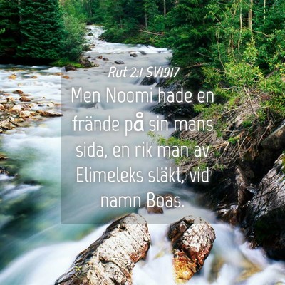 Picture 04 - Rut 2:1 SV1917 - Men Noomi hade en frände på sin mans sida, en - Bible Verse Picture