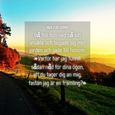 Picture 04 - Rut 2:10 SV1917 - Då föll hon ned på sitt ansikte och bugade sig - Bible Verse Picture