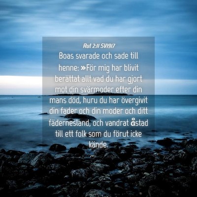 Picture 04 - Rut 2:11 SV1917 - Boas svarade och sade till henne: »För mig har - Bible Verse Picture