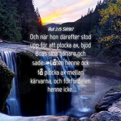 Picture 04 - Rut 2:15 SV1917 - Och när hon därefter stod upp för att plocka - Bible Verse Picture