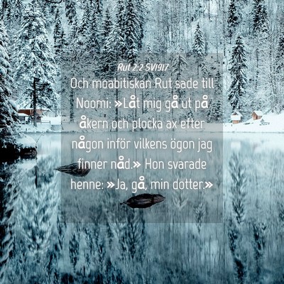 Picture 04 - Rut 2:2 SV1917 - Och moabitiskan Rut sade till Noomi: »Låt mig - Bible Verse Picture