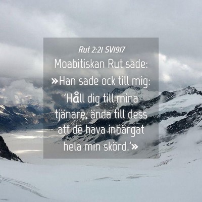 Picture 04 - Rut 2:21 SV1917 - Moabitiskan Rut sade: »Han sade ock till mig: - Bible Verse Picture