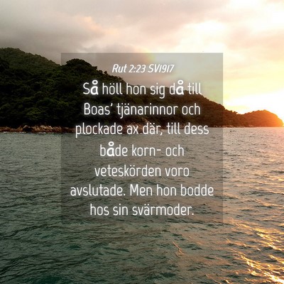 Picture 04 - Rut 2:23 SV1917 - Så höll hon sig då till Boas' tjänarinnor och - Bible Verse Picture