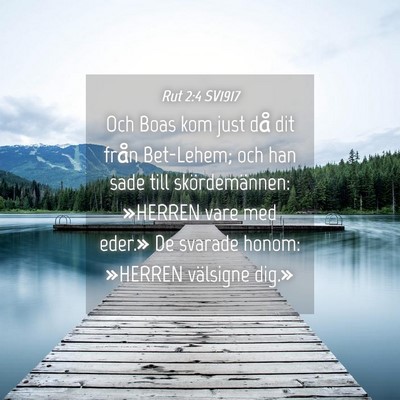 Picture 04 - Rut 2:4 SV1917 - Och Boas kom just då dit från Bet-Lehem; och - Bible Verse Picture