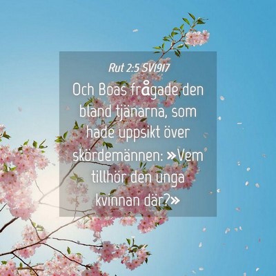 Picture 04 - Rut 2:5 SV1917 - Och Boas frågade den bland tjänarna, som hade - Bible Verse Picture