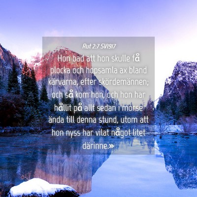 Picture 04 - Rut 2:7 SV1917 - Hon bad att hon skulle få plocka och hopsamla ax - Bible Verse Picture