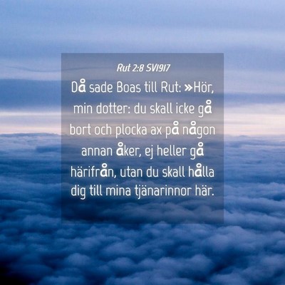 Picture 04 - Rut 2:8 SV1917 - Då sade Boas till Rut: »Hör, min dotter: du - Bible Verse Picture