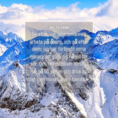 Picture 04 - Rut 2:9 SV1917 - Se efter, var skördemännen arbeta på åkern, - Bible Verse Picture