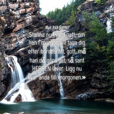 Picture 04 - Rut 3:13 SV1917 - Stanna nu kvar i natt; om han i morgon vill taga - Bible Verse Picture