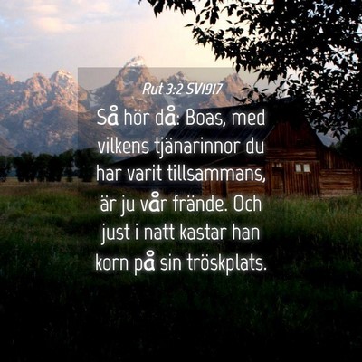 Picture 04 - Rut 3:2 SV1917 - Så hör då: Boas, med vilkens tjänarinnor du - Bible Verse Picture