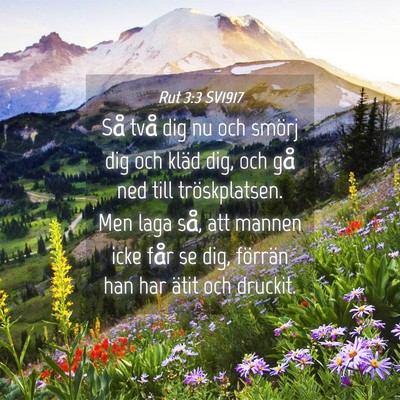 Picture 04 - Rut 3:3 SV1917 - Så två dig nu och smörj dig och kläd dig, och - Bible Verse Picture