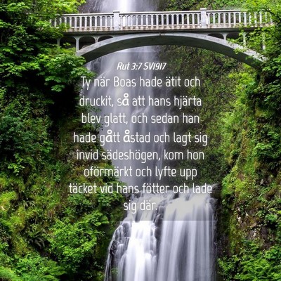 Picture 04 - Rut 3:7 SV1917 - Ty när Boas hade ätit och druckit, så att hans - Bible Verse Picture