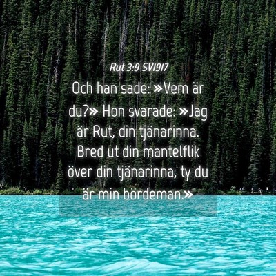 Picture 04 - Rut 3:9 SV1917 - Och han sade: »Vem är du?» Hon svarade: »Jag - Bible Verse Picture