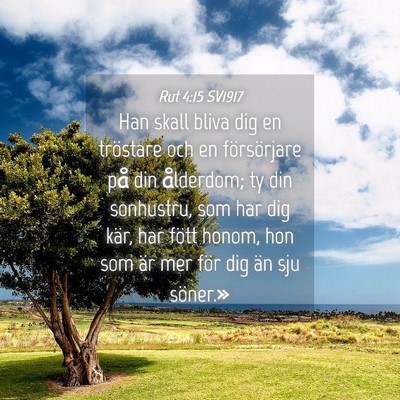 Picture 04 - Rut 4:15 SV1917 - Han skall bliva dig en tröstare och en - Bible Verse Picture