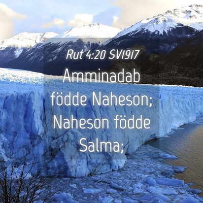 Picture 04 - Rut 4:20 SV1917 - Amminadab födde Naheson; Naheson födde - Bible Verse Picture