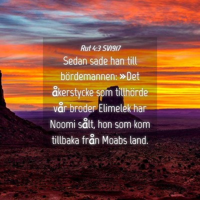 Picture 04 - Rut 4:3 SV1917 - Sedan sade han till bördemannen: »Det - Bible Verse Picture