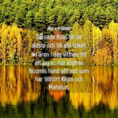 Picture 04 - Rut 4:9 SV1917 - Då sade Boas till de äldste och till allt - Bible Verse Picture