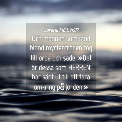 Picture 04 - Sakaria 1:10 SV1917 - Och mannen som stod bland myrtenträden tog till - Bible Verse Picture
