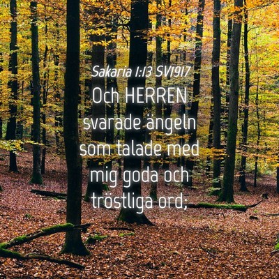 Picture 04 - Sakaria 1:13 SV1917 - Och HERREN svarade ängeln som talade med mig - Bible Verse Picture