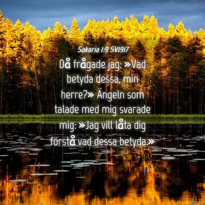 Picture 04 - Sakaria 1:9 SV1917 - Då frågade jag: »Vad betyda dessa, min - Bible Verse Picture