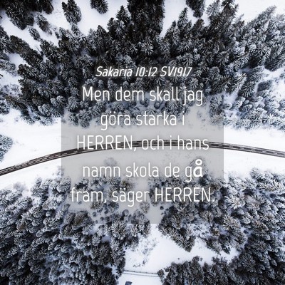 Picture 04 - Sakaria 10:12 SV1917 - Men dem skall jag göra starka i HERREN, och i - Bible Verse Picture