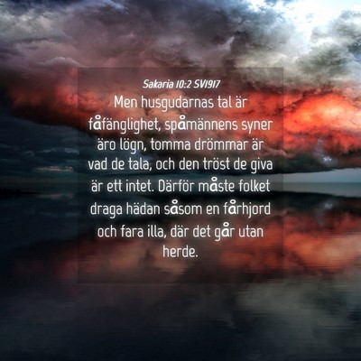 Picture 04 - Sakaria 10:2 SV1917 - Men husgudarnas tal är fåfänglighet, - Bible Verse Picture